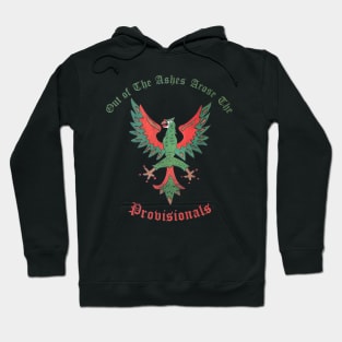 Out of the Ashes Rose the Provisionals - Irish History Hoodie